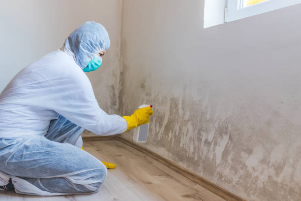 Hvac And Air Duct Mold Remediation inspection of HVAC system in Holland